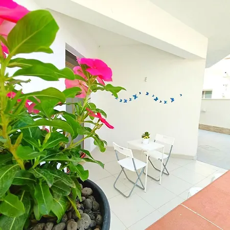 Appartement Rosso Corallo A Tre Minuti Dal Mare Disponibile Piano Terra Indipendente Sul Golfo Di Castellammare